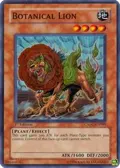 Botanical Lion CSOC-EN099
