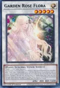 Garden Rose Flora MP22-EN078