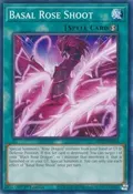 Basal Rose Shoot MP22-EN094
