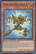 Mimicking Man-Eater Bug MP22-EN204