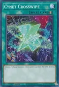 Cynet Crosswipe MP22-EN247
