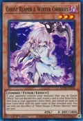 Ghost Reaper & Winter Cherries MP22-EN256