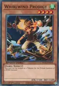 Whirlwind Prodigy SGX2-END14