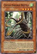 Cross-Sword Beetle CRMS-EN035