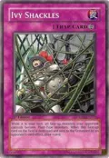 Ivy Shackles CRMS-EN070
