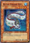 Royal Swamp Eel CRMS-EN086