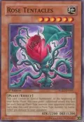 Rose Tentacles RGBT-EN007