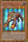 Test Tiger GLD2-EN029