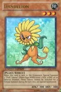 Dandylion JUMP-EN029