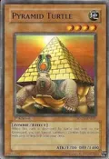 Pyramid Turtle SDZW-EN007