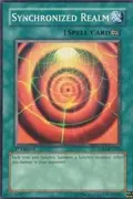 Synchronized Realm 5DS1-EN022