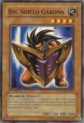 Big Shield Gardna DPYG-EN009