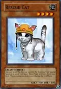 Rescue Cat CP05-EN015