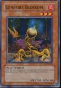 Lonefire Blossom CP07-EN005