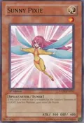 Sunny Pixie ANPR-EN002
