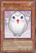 White Potan ANPR-EN033