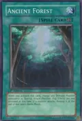 Ancient Forest ANPR-EN048