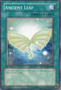 Ancient Leaf ANPR-EN061