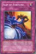 Slip of Fortune ANPR-EN069