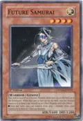Future Samurai SDWS-EN014