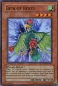 Bird of Roses TSHD-EN018