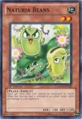 Naturia Beans DREV-EN028