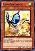 Reed Butterfly STBL-EN003