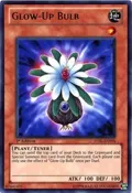 Glow-Up Bulb STBL-EN018
