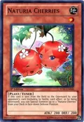 Naturia Cherries STBL-EN030