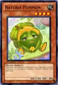 Naturia Pumpkin STBL-EN031