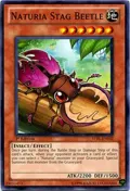 Naturia Stag Beetle STBL-EN032