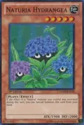 Naturia Hydrangea HA03-EN044