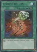 Foolish Return STOR-EN058