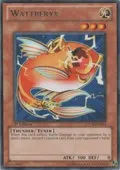 Wattberyx STOR-EN031