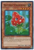 Naturia Strawberry HA04-EN021
