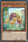 Naturia Mole Cricket DABL-EN020