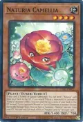 Naturia Camellia DABL-EN021