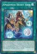 Amazoness Secret Arts DABL-EN099