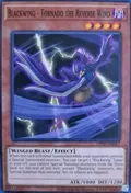 Blackwing - Tornado the Reverse Wind OP20-EN017