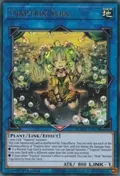 Traptrix Sera MAMA-EN074
