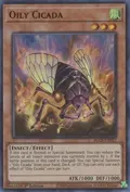 Oily Cicada BLCR-EN027