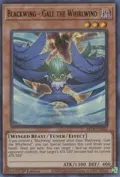 Blackwing - Gale the Whirlwind BLCR-EN056