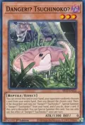 Danger!? Tsuchinoko? SR13-EN021