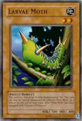Larvae Moth MRD-EN007