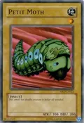 Petit Moth MRD-EN023