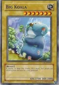 Big Koala IOC-EN004