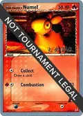Team Magma's Numel - 2004 (Tsuguyoshi Yamato) #64/95