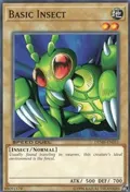 Basic Insect DEM6-EN011