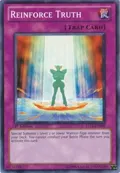 Reinforce Truth YS11-EN040