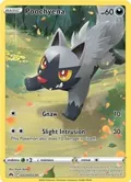 Poochyena #GG33/GG70